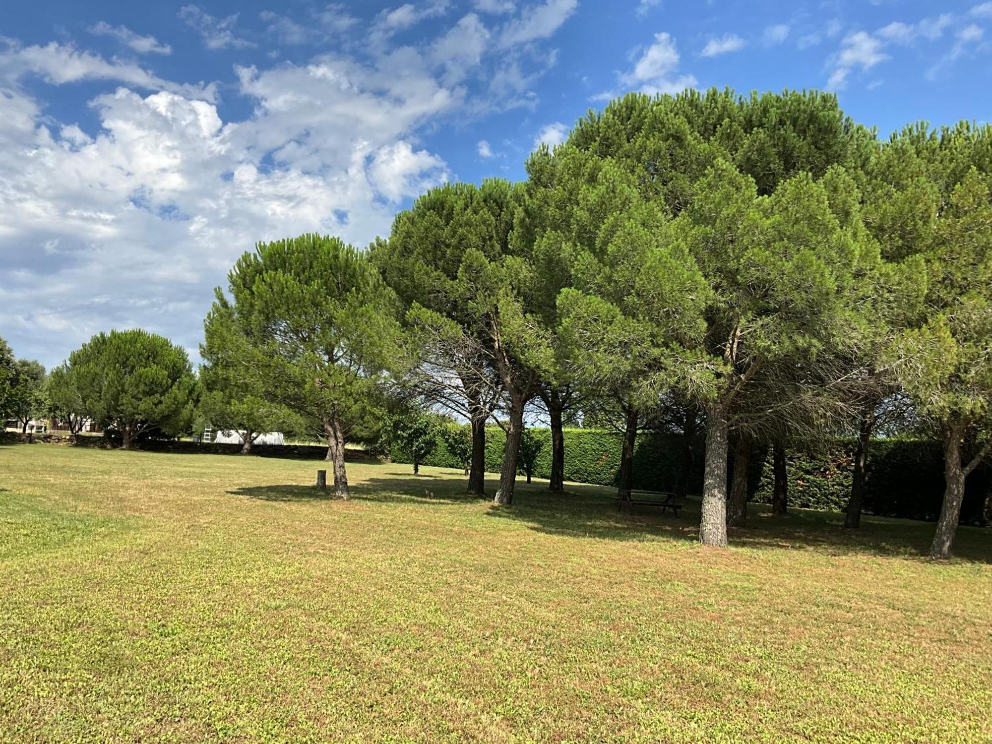 Number9 - Now With Air Conditioned Rooms Carlipa Esterno foto
